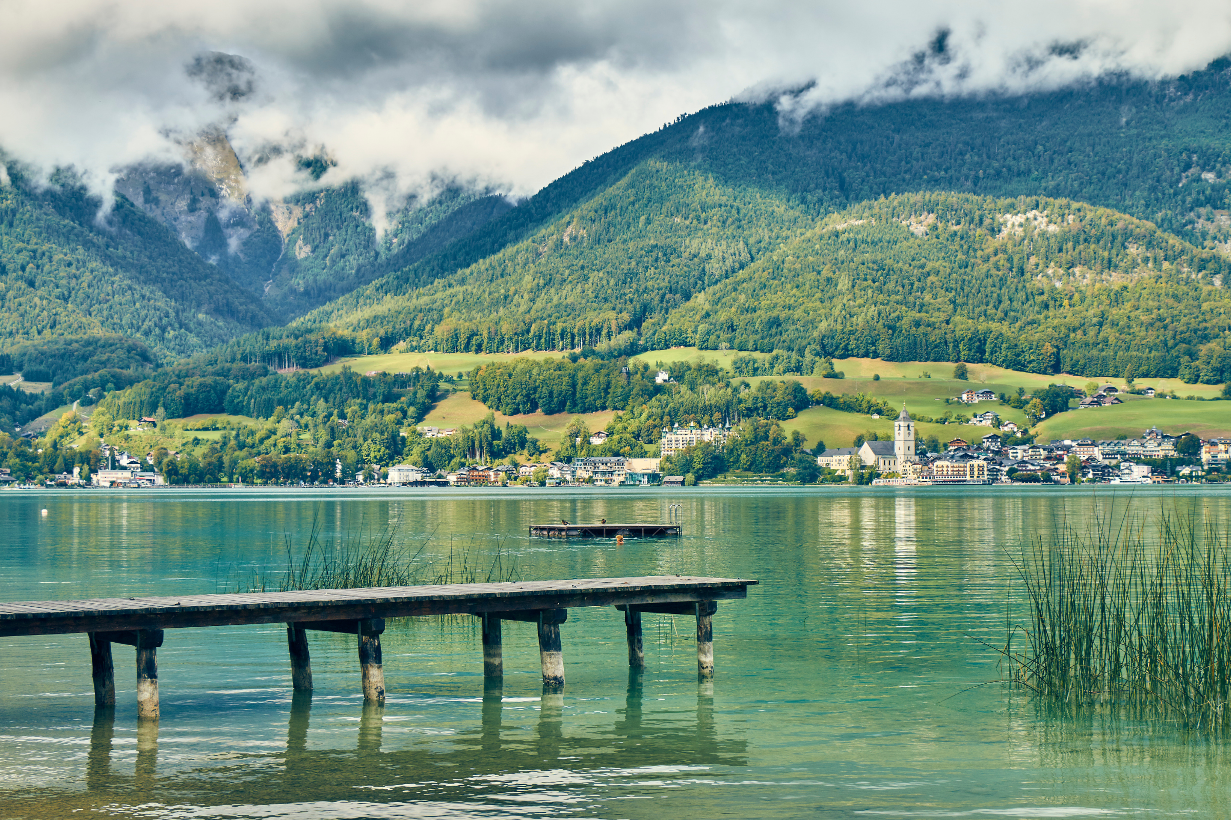Gschwendt[1].webp